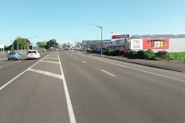 PALM11-121 397 Rangitikei Street