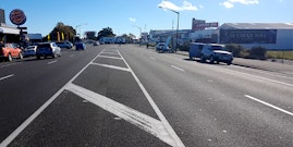 PALM11-121 397 Rangitikei Street