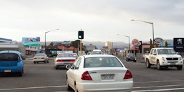 PALM15-61 403 Rangitikei Street