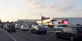 PALM11-121 397 Rangitikei Street